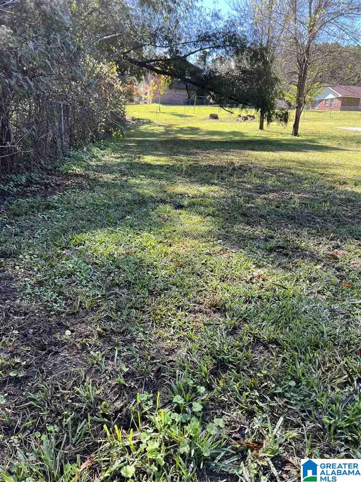 413 Debra Avenue Clanton, AL 35045 - Photo 24 of 26