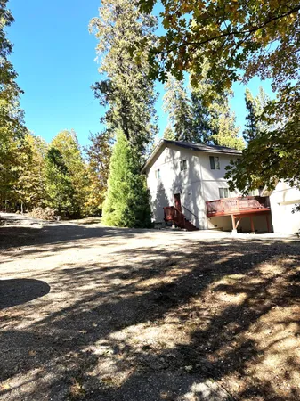 a view of a yard with large trees