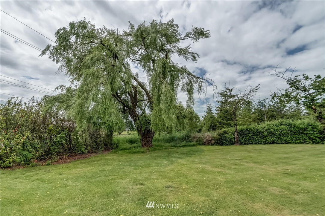 2076 East Badger Road Everson, WA 98247 - Photo 19 of 30 Gallery Image 19