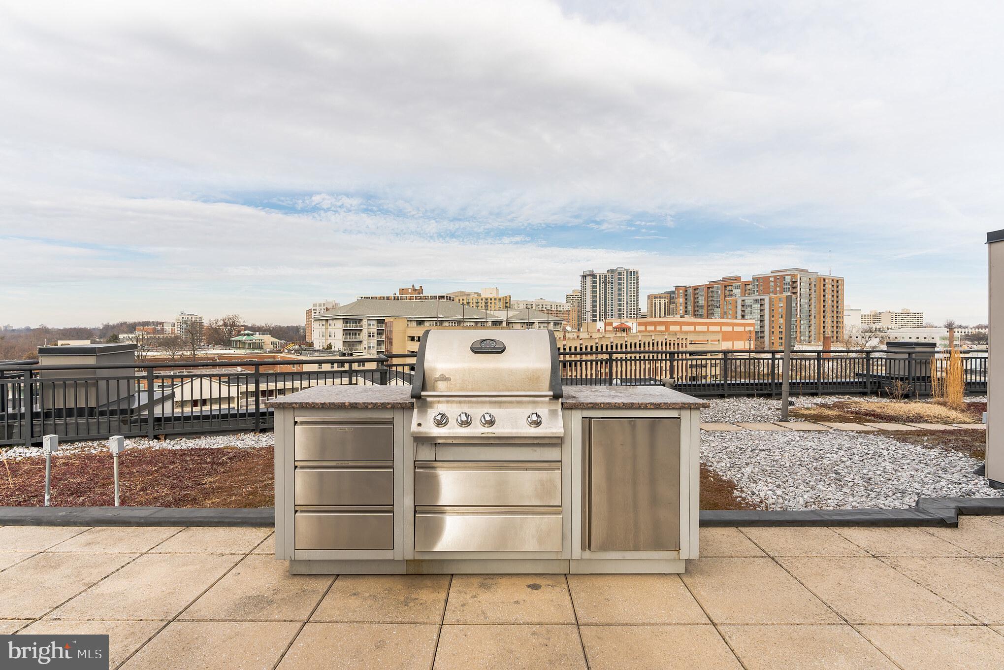 8005 13th Street, Unit 101 Silver Spring, MD 20910 - Photo 27 of 29 Grill on the rooftop