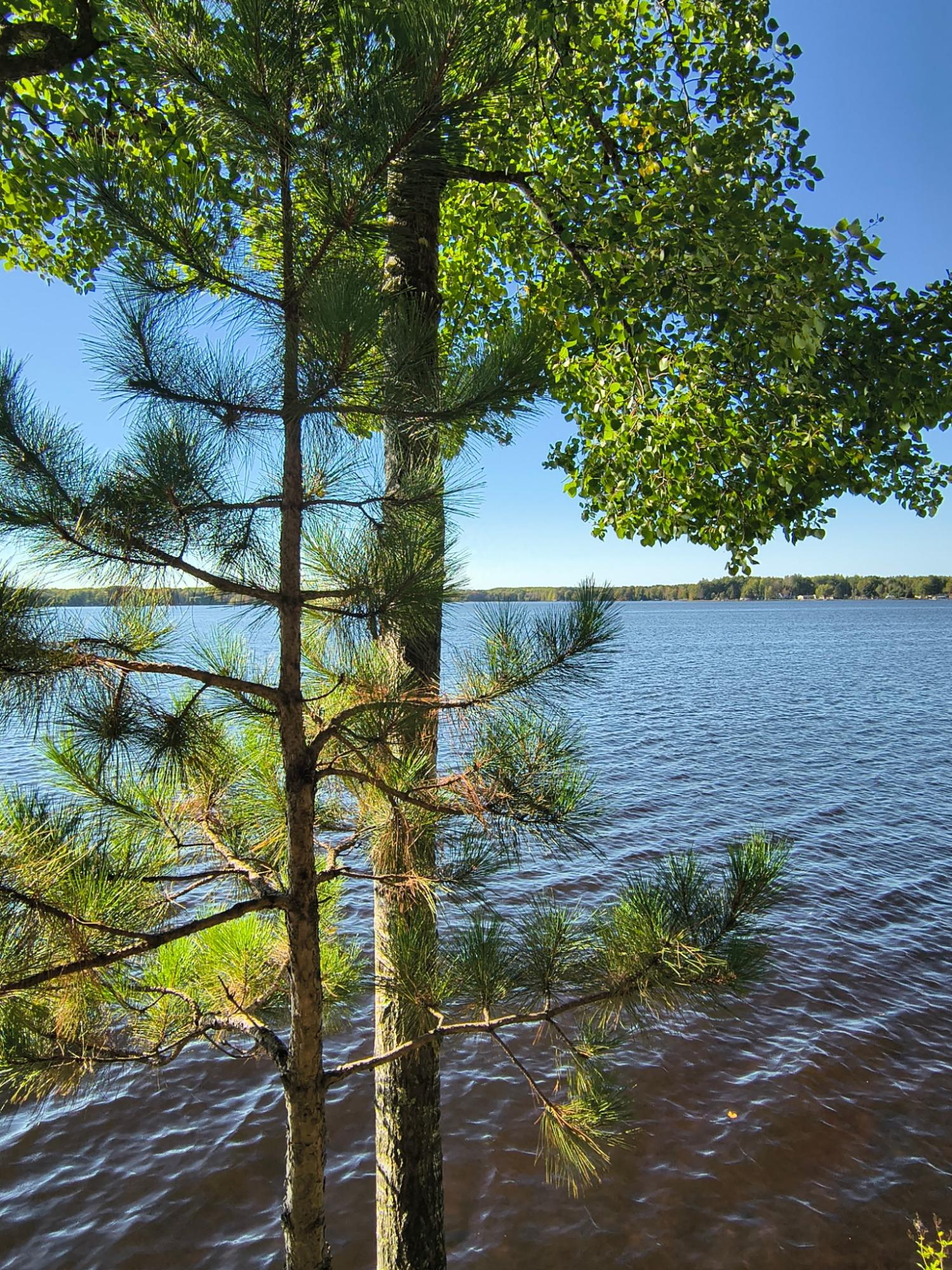 N9129 Elk River Road Phillips, WI 54555 - Photo 90 of 99 Gallery Image 90