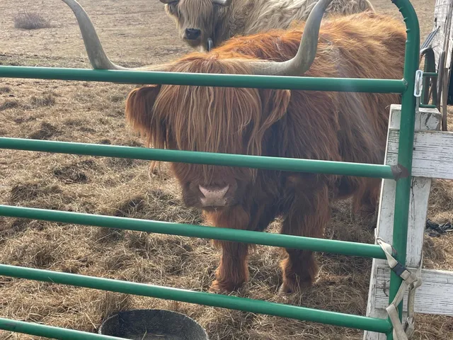 $325,000 | 668 Urquhart Road, Newbury, VT 05051