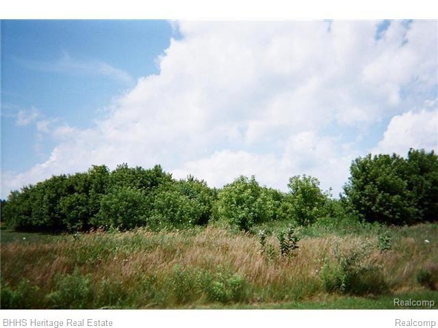 Parcel S Parcel S Wasson Pinckney, MI 48169 - Photo 1 of 1