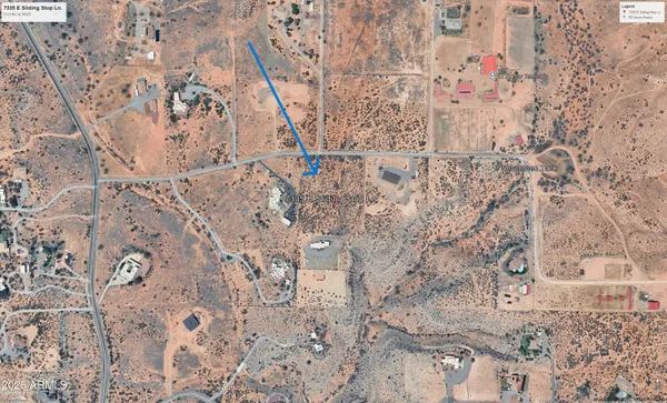 a view of a big yard with lots of trees
