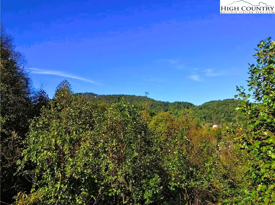 Lot#15 R Gable Farm Road Boone, NC 28607 - Photo 1 of 4 a view of a city