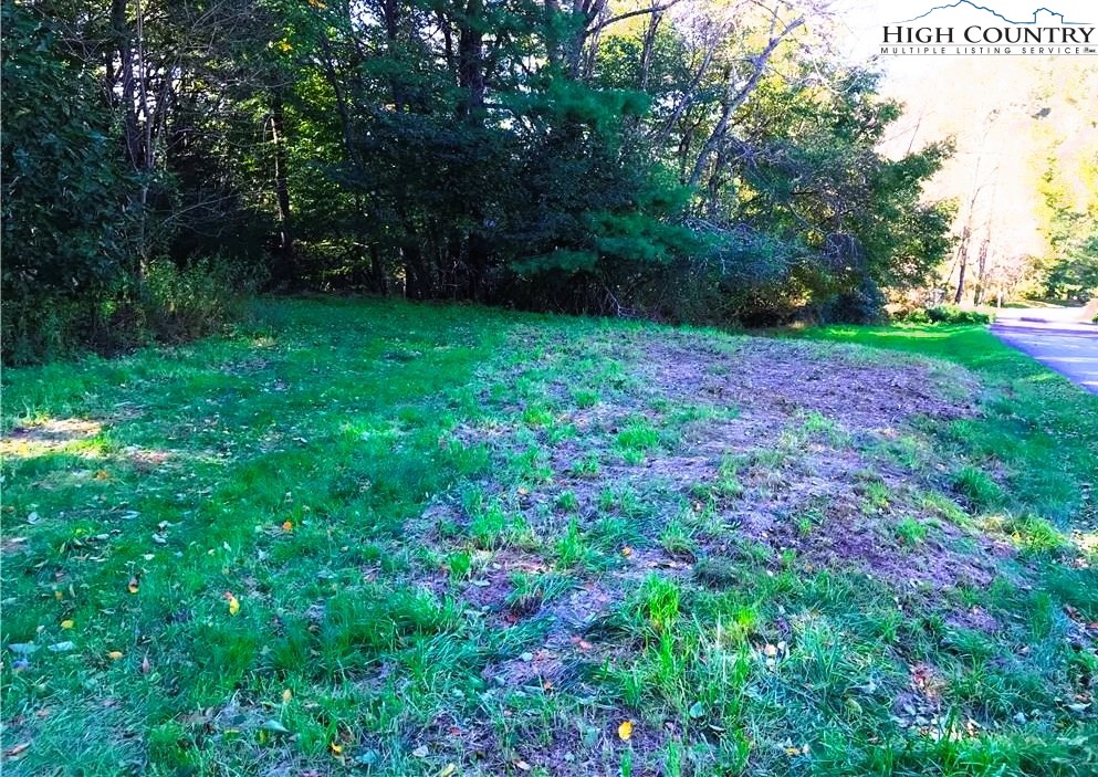 Lot#15 R Gable Farm Road Boone, NC 28607 - Photo 2 of 4 a view of a back yard