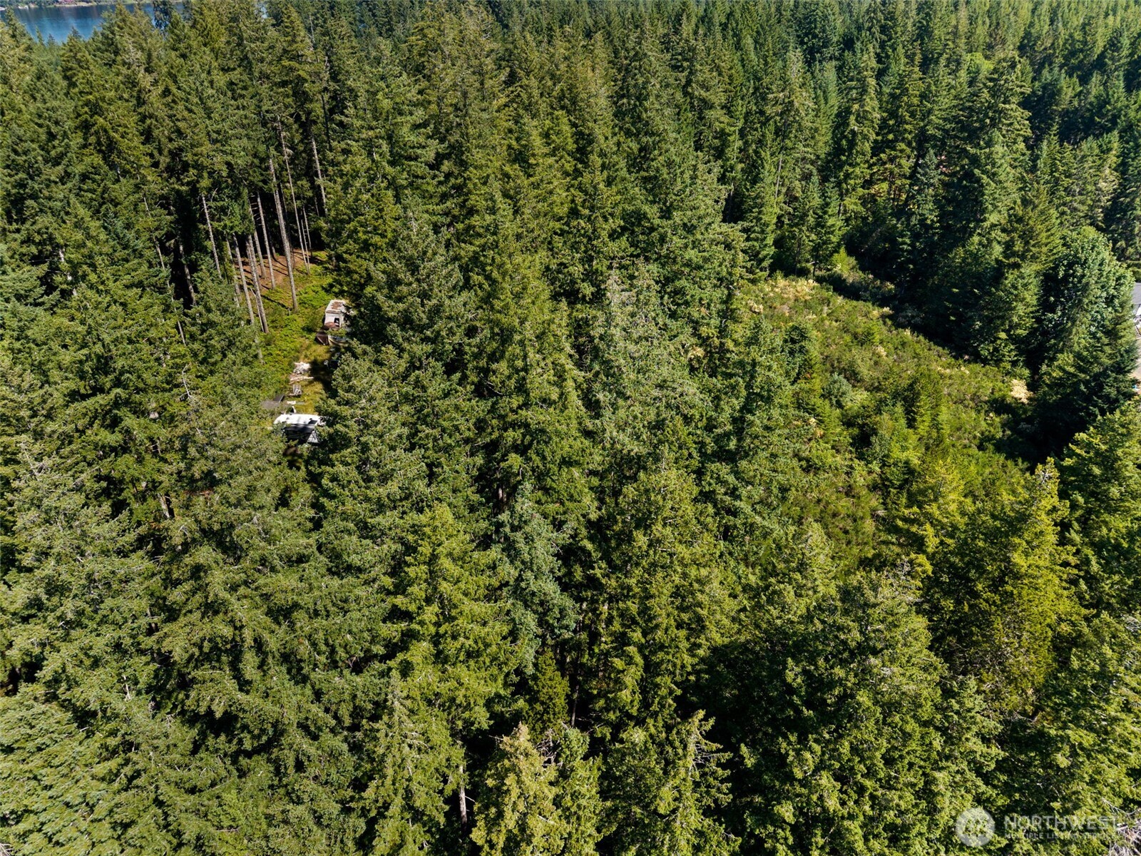 1030 East Phillips Lake Road Shelton, WA 98584 - Photo 17 of 21