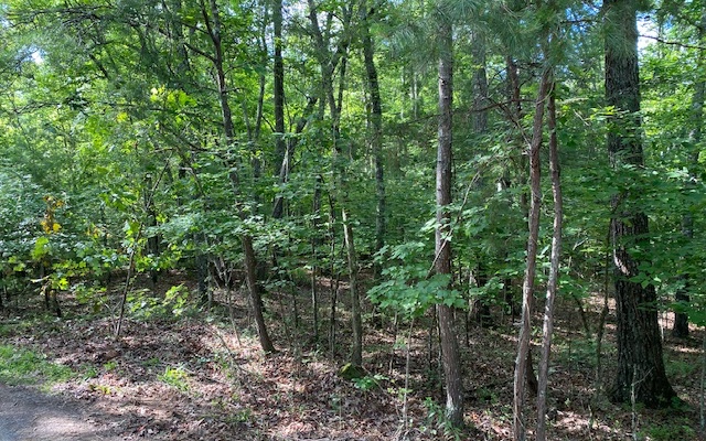 2 Two Cedars Road Morganton, GA 30560 - Photo 1 of 4 Main View