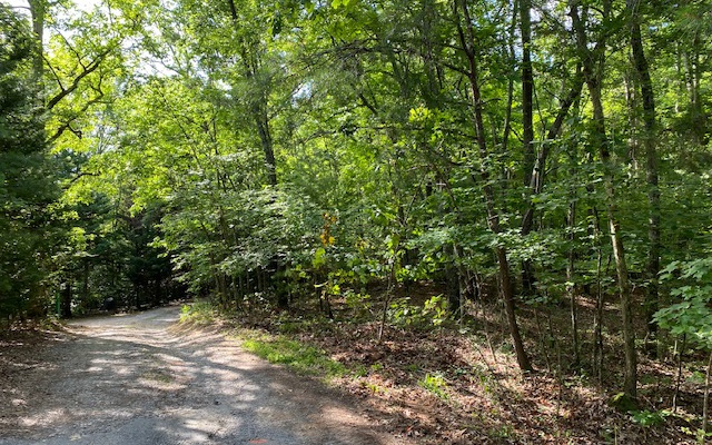 2 Two Cedars Road Morganton, GA 30560 - Photo 4 of 4 Additional View
