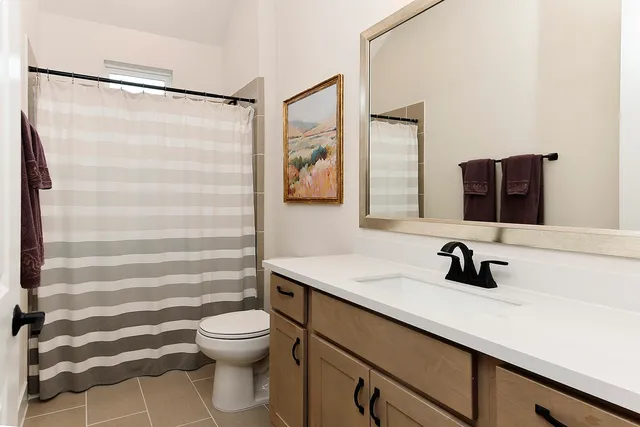 a bathroom with a sink toilet a mirror and shower curtain