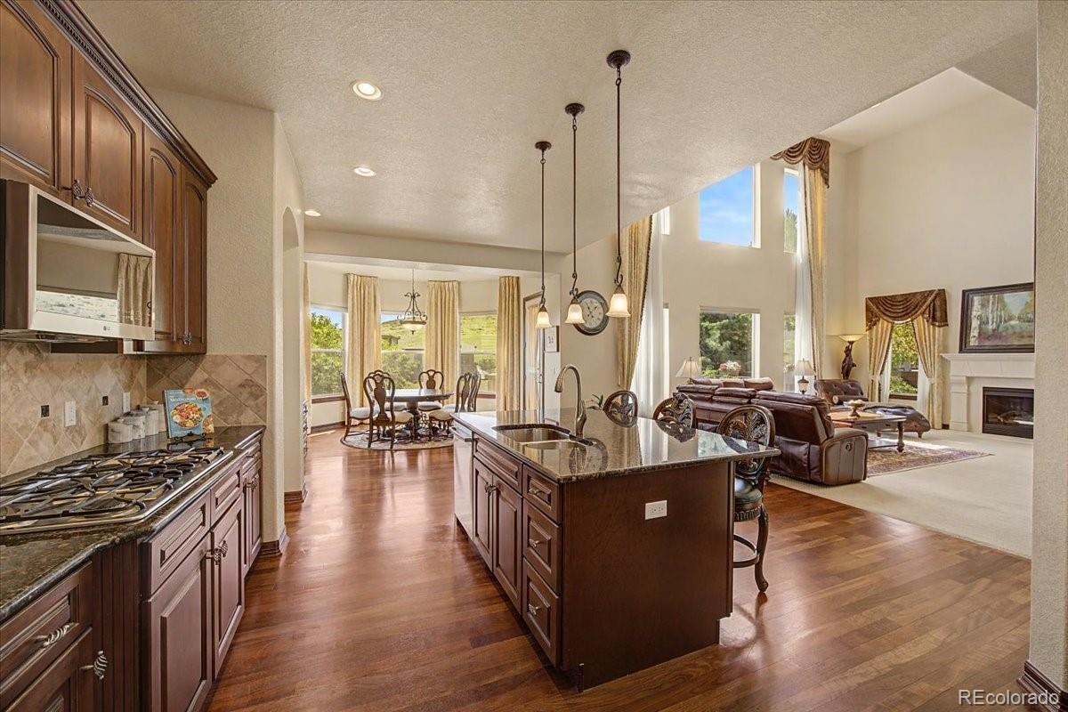 10492 Rivington Court Lone Tree, CO 80124 - Photo 9 of 50