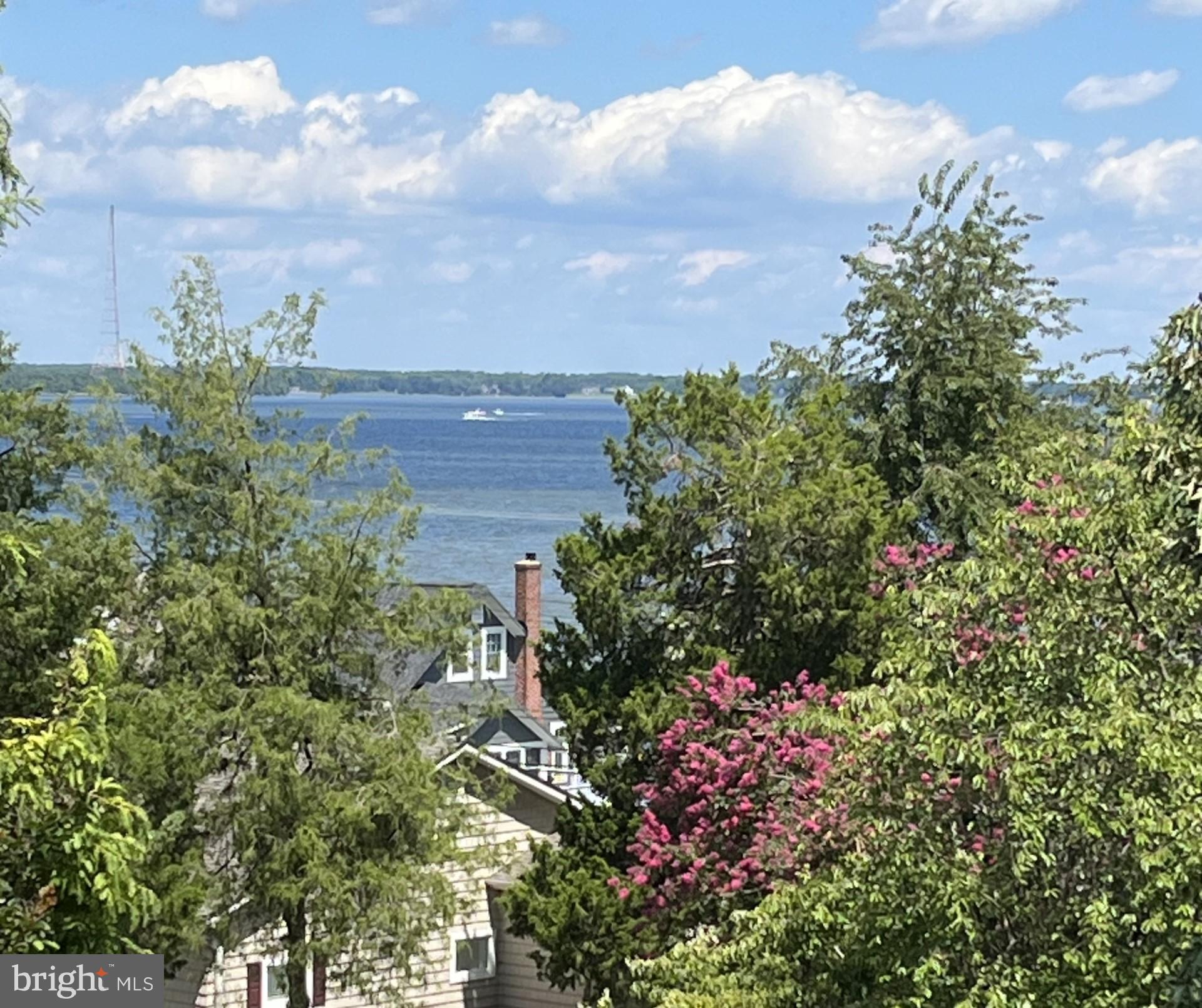 16 Decatur Avenue Annapolis, MD 21403 - Photo 2 of 78 Views from the Rooftop Deck