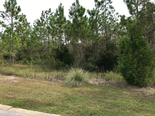 33-34 Shallow Reed Dr Port Street Quincy, FL 32351 - Photo 3 of 7
