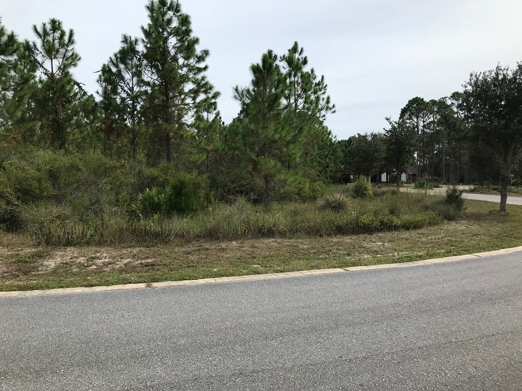 33-34 Shallow Reed Dr Port Street Quincy, FL 32351 - Photo 4 of 7