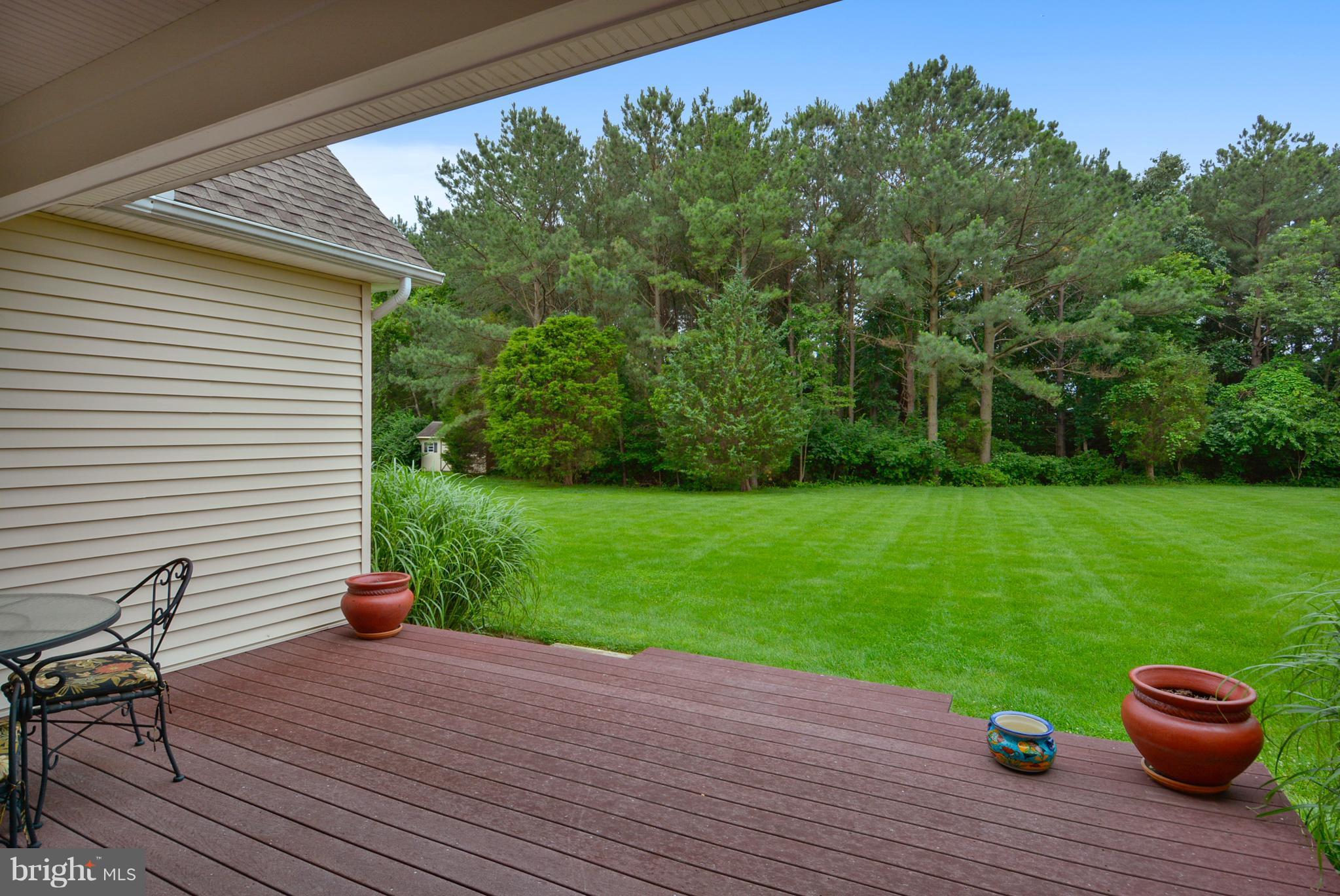24787 Swan Road St. Michaels, MD 21663 - Photo 26 of 30 Deck and yard