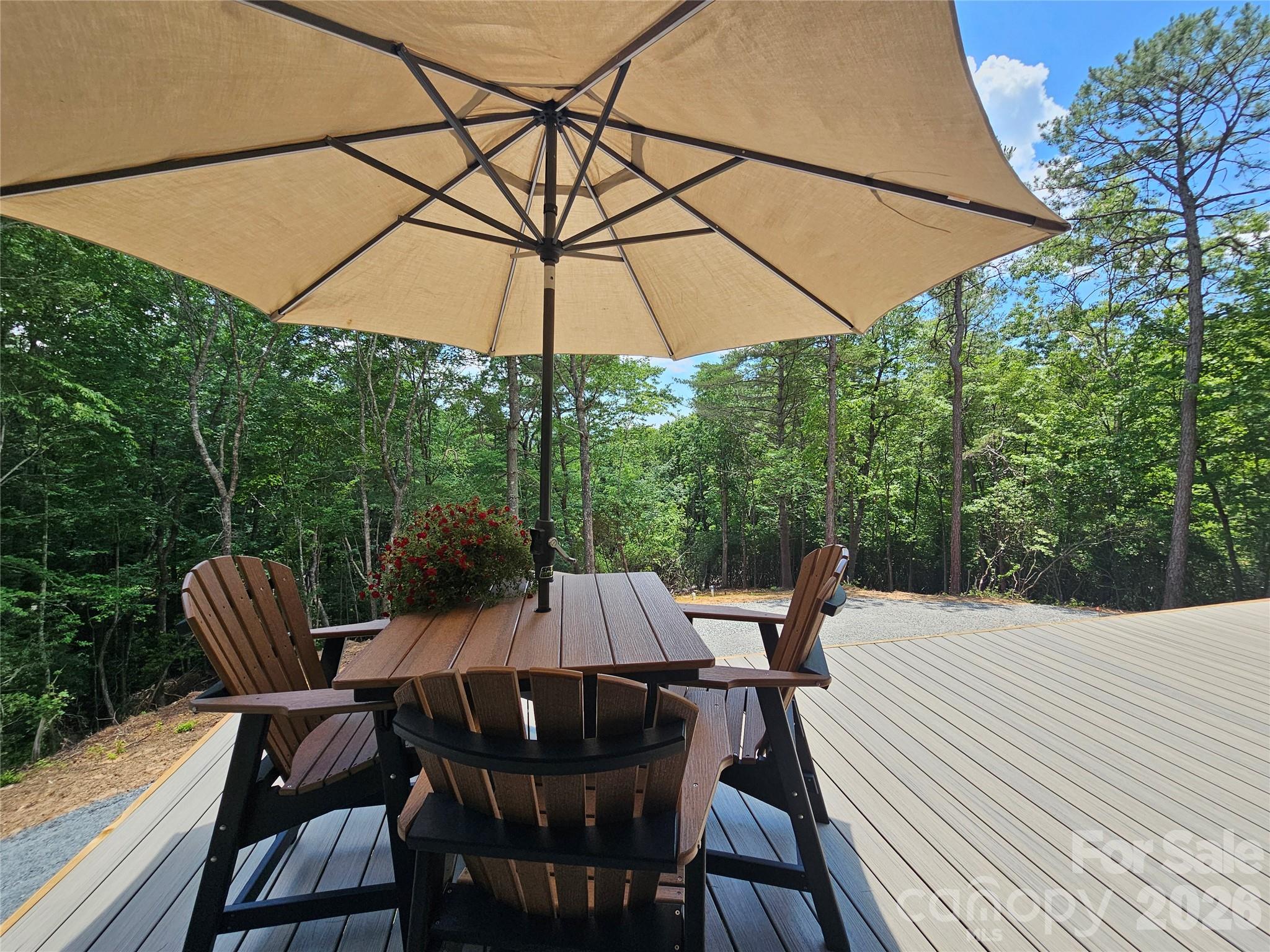 171 Duff Cv Road Brevard, NC 28712 - Photo 14 of 32