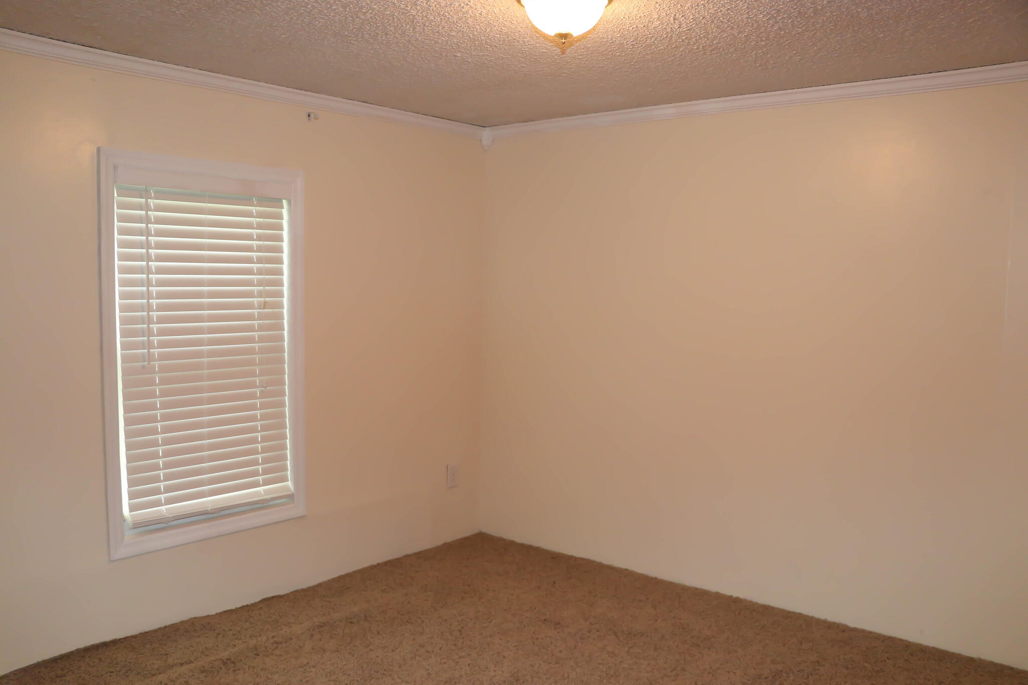 123 Pond Road Oliver Springs, TN 37840 - Photo 9 of 14 br