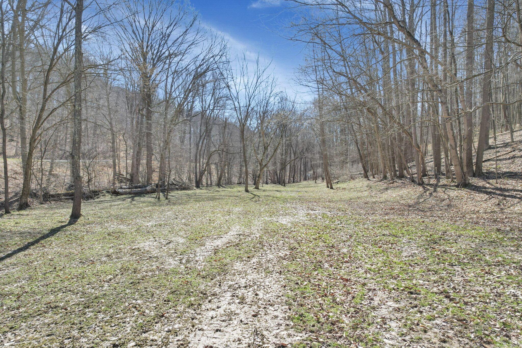 0 Hansley Road Southeast Sugar Grove, OH 43155 - Photo 10 of 27 12-web-or-mls-DJI_0683