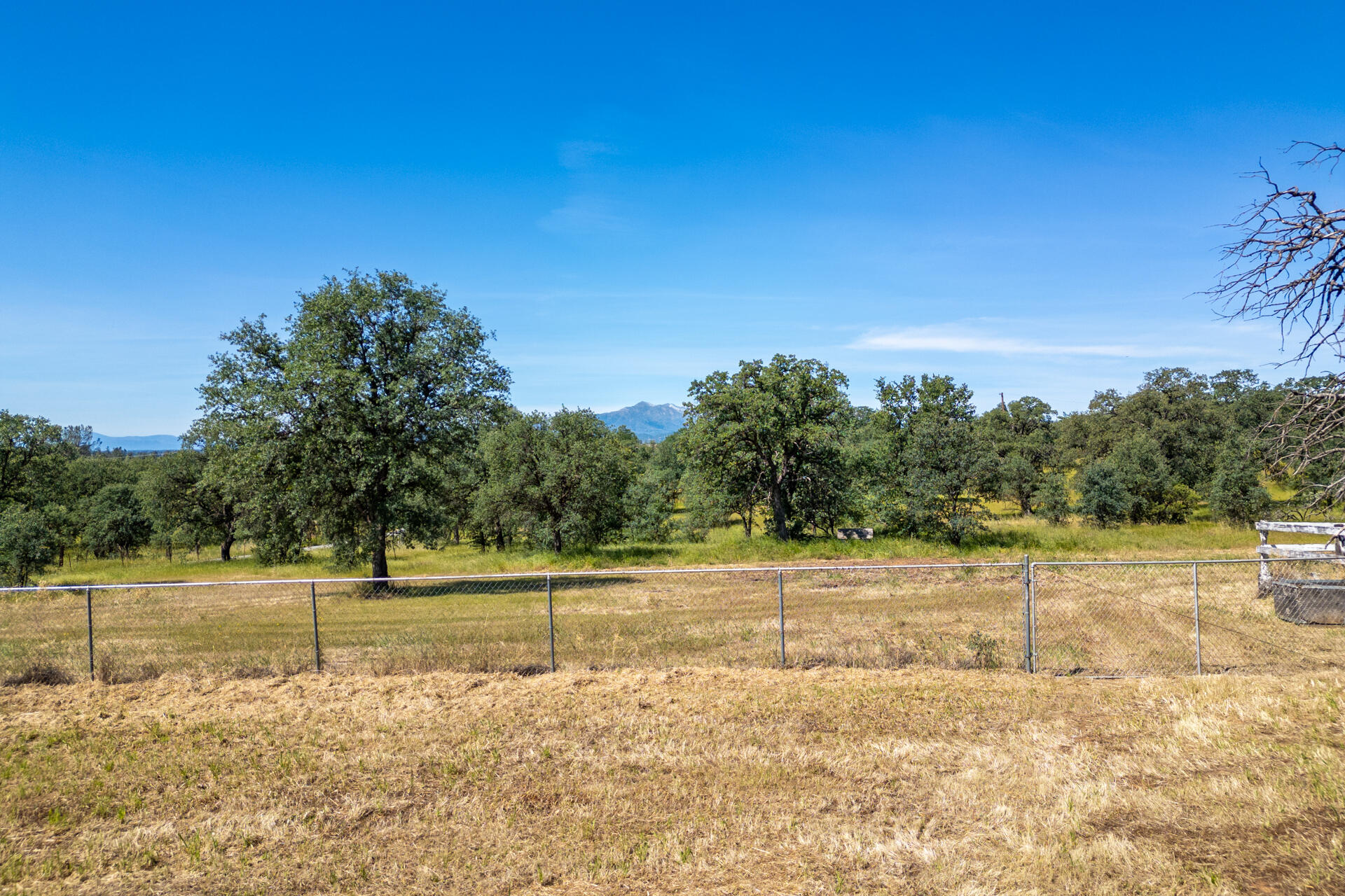 2362 Old Alturas Road Redding, CA 96003 - Photo 4 of 18 DJI_0819 (1)