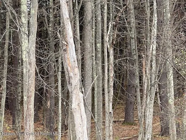 $114,900 | 0 Schoharie Turnpike, Leeds, NY 12451