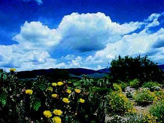 13 South Triangle H Ranch Place Vail, AZ 85641 - Photo 2 of 4