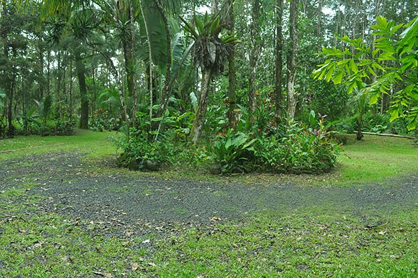 14-3605 Forest Road Pahoa, HI 96778 - Photo 20 of 25 Gallery Image 20