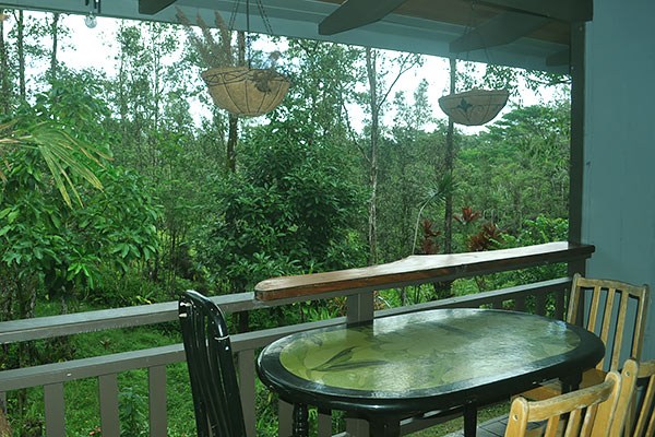 14-3605 Forest Road Pahoa, HI 96778 - Photo 5 of 25 Gallery Image 5