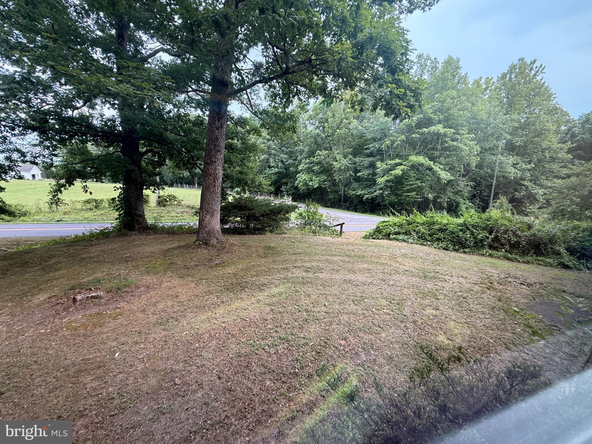 17400 Hudson Road Culpeper, VA 22701 - Photo 23 of 23 Serene landscape with lush greenery.
