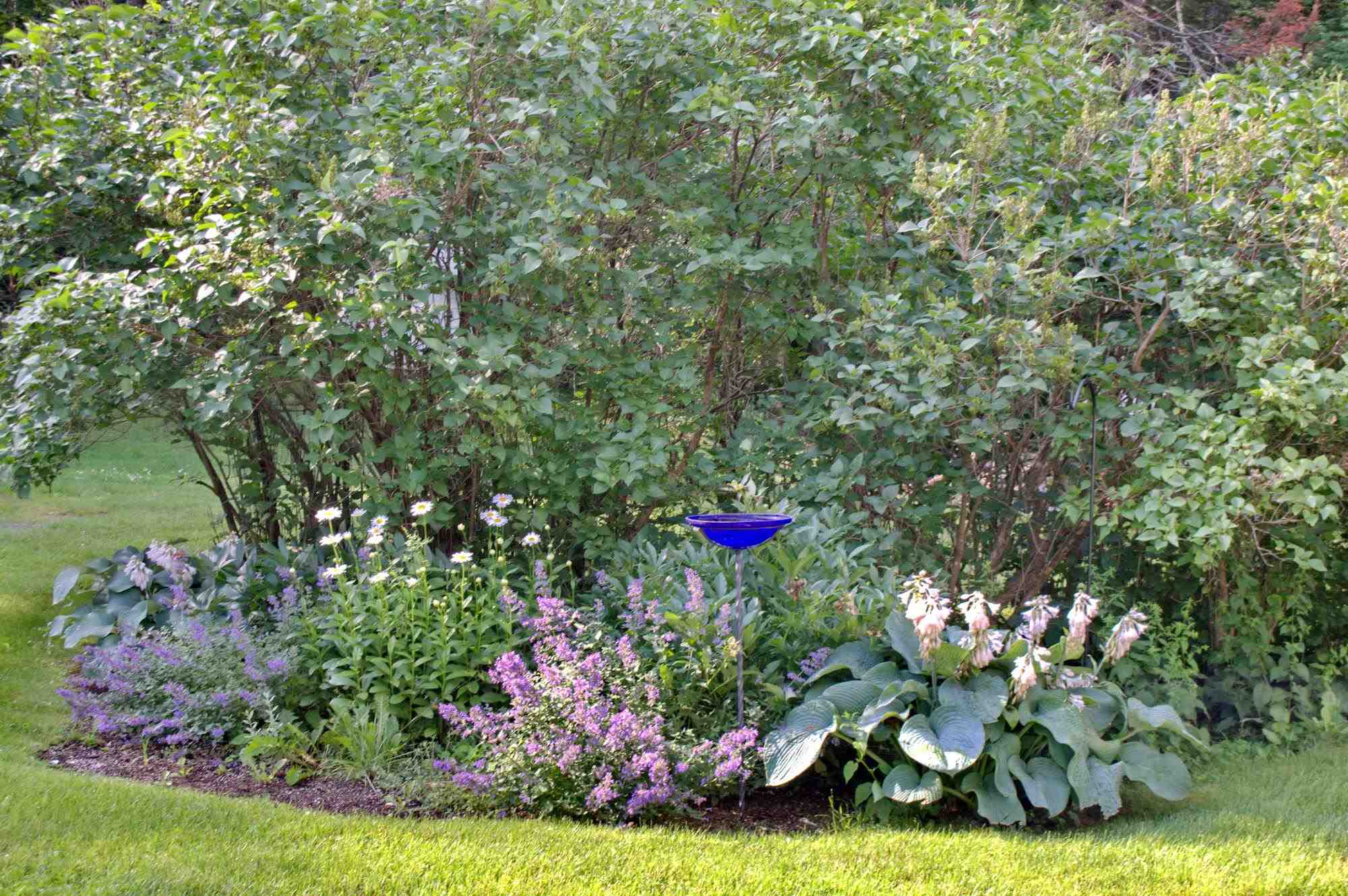 435 Paine Road Easton, NH 03580 - Photo 39 of 40