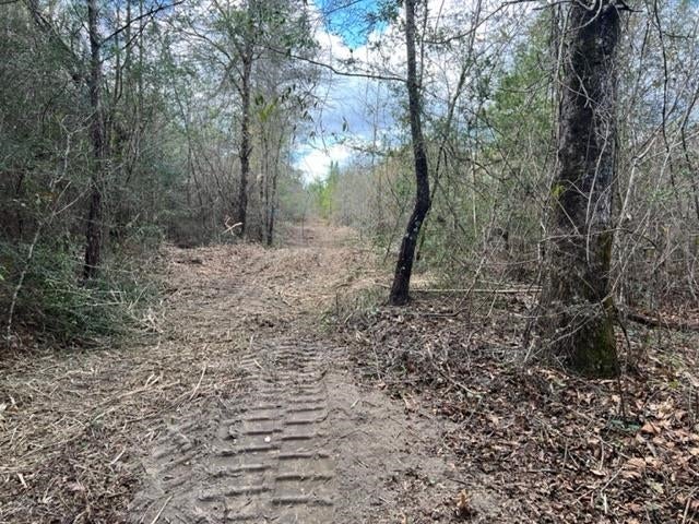 Forty Lost Forty Road Andalusia, AL 36420 - Photo 10 of 13 Gallery Image 10