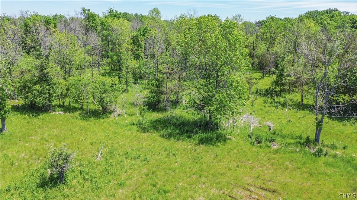 0 Middle Road Dexter, NY 13634 - Photo 13 of 23