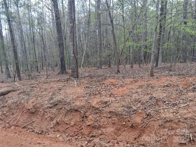 a view of a backyard with large trees