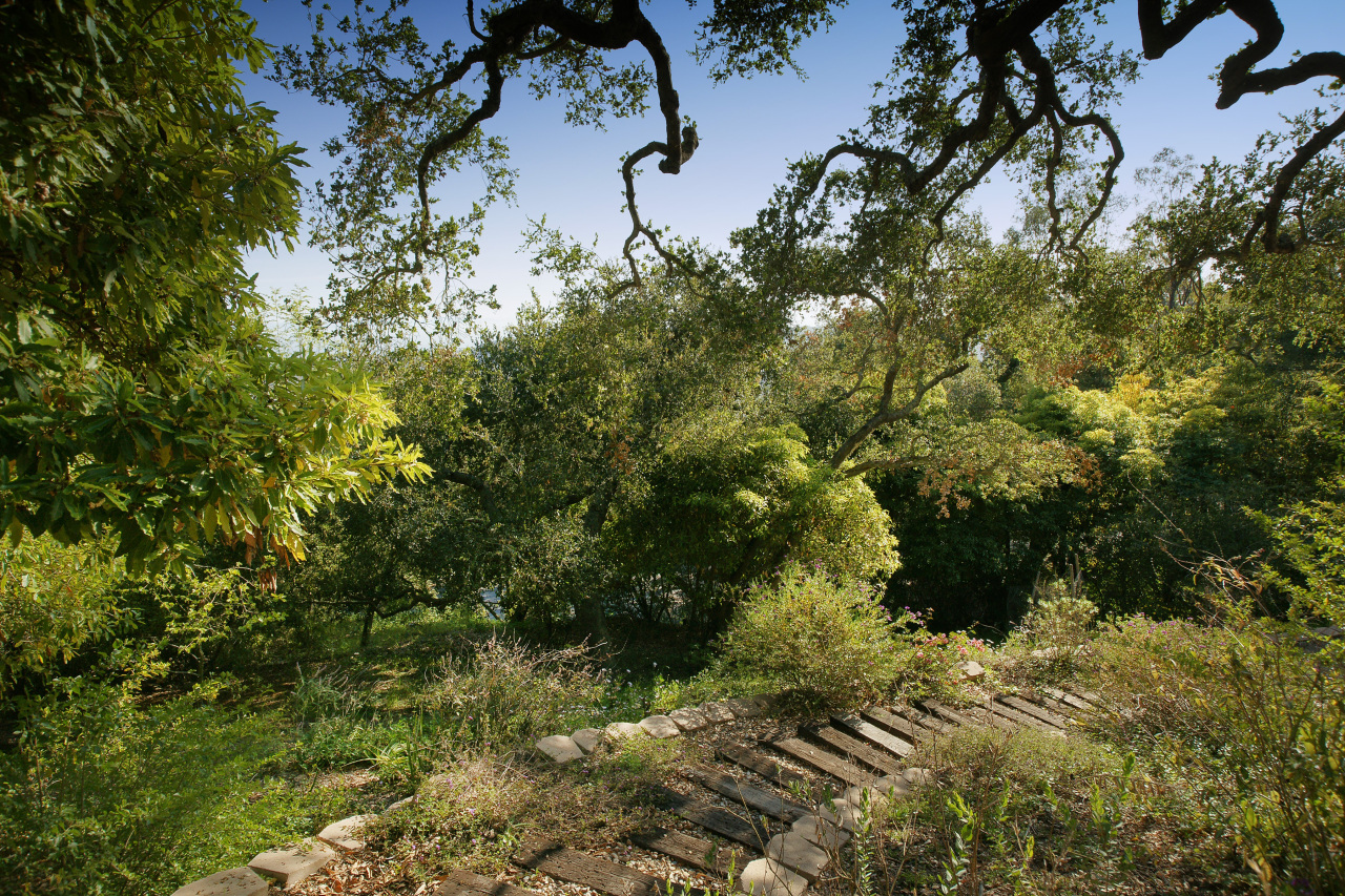 1500 Franceschi Road Santa Barbara, CA 93103 - Photo 14 of 18 a view of a yard