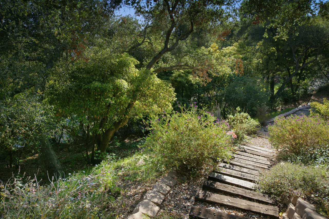 1500 Franceschi Road Santa Barbara, CA 93103 - Photo 15 of 18 a view of a garden with plants and large trees