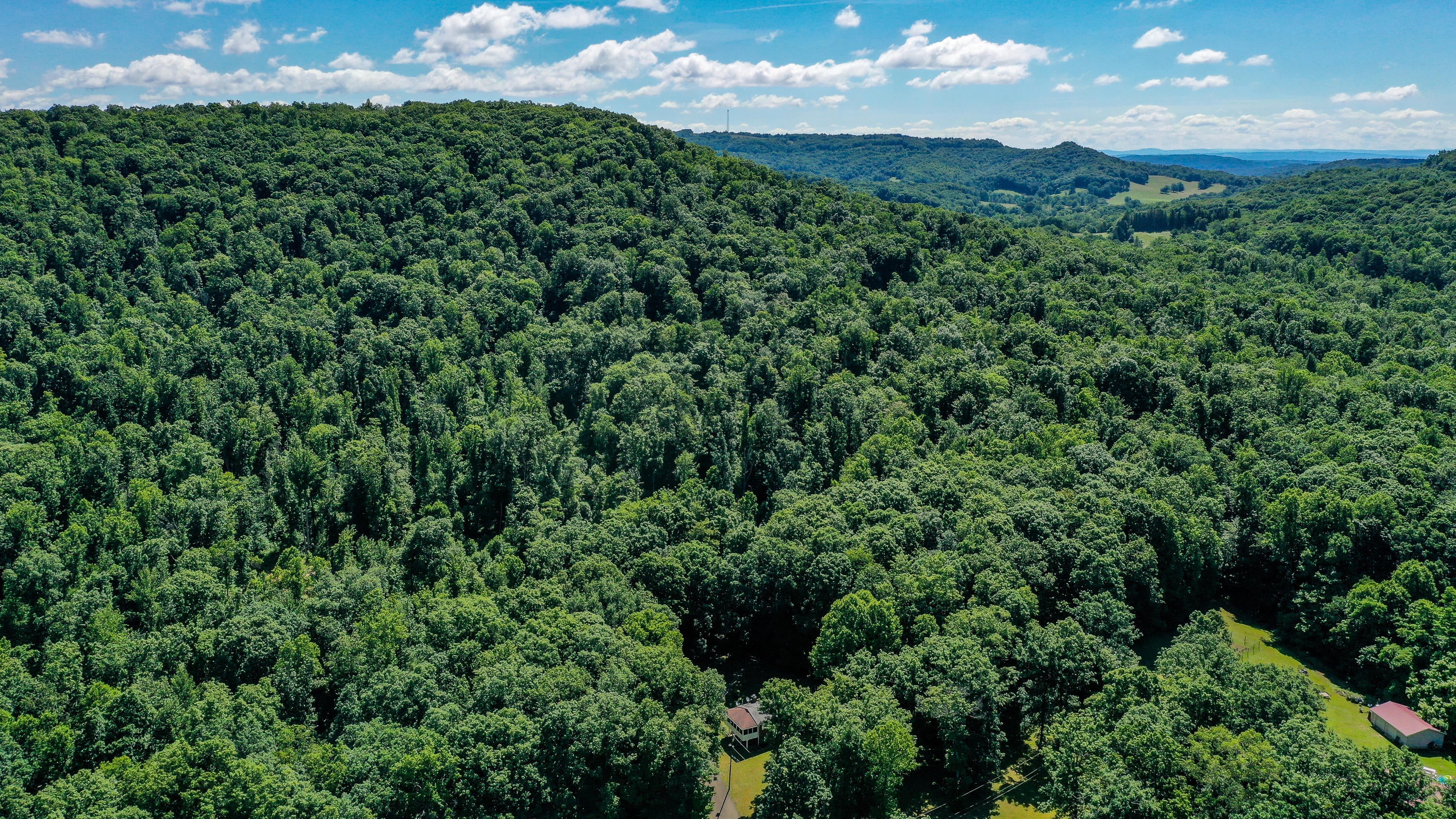324 Springdale Sawmill Road Meadow Bridge, WV 25976 - Photo 3 of 43 Gallery Image 3