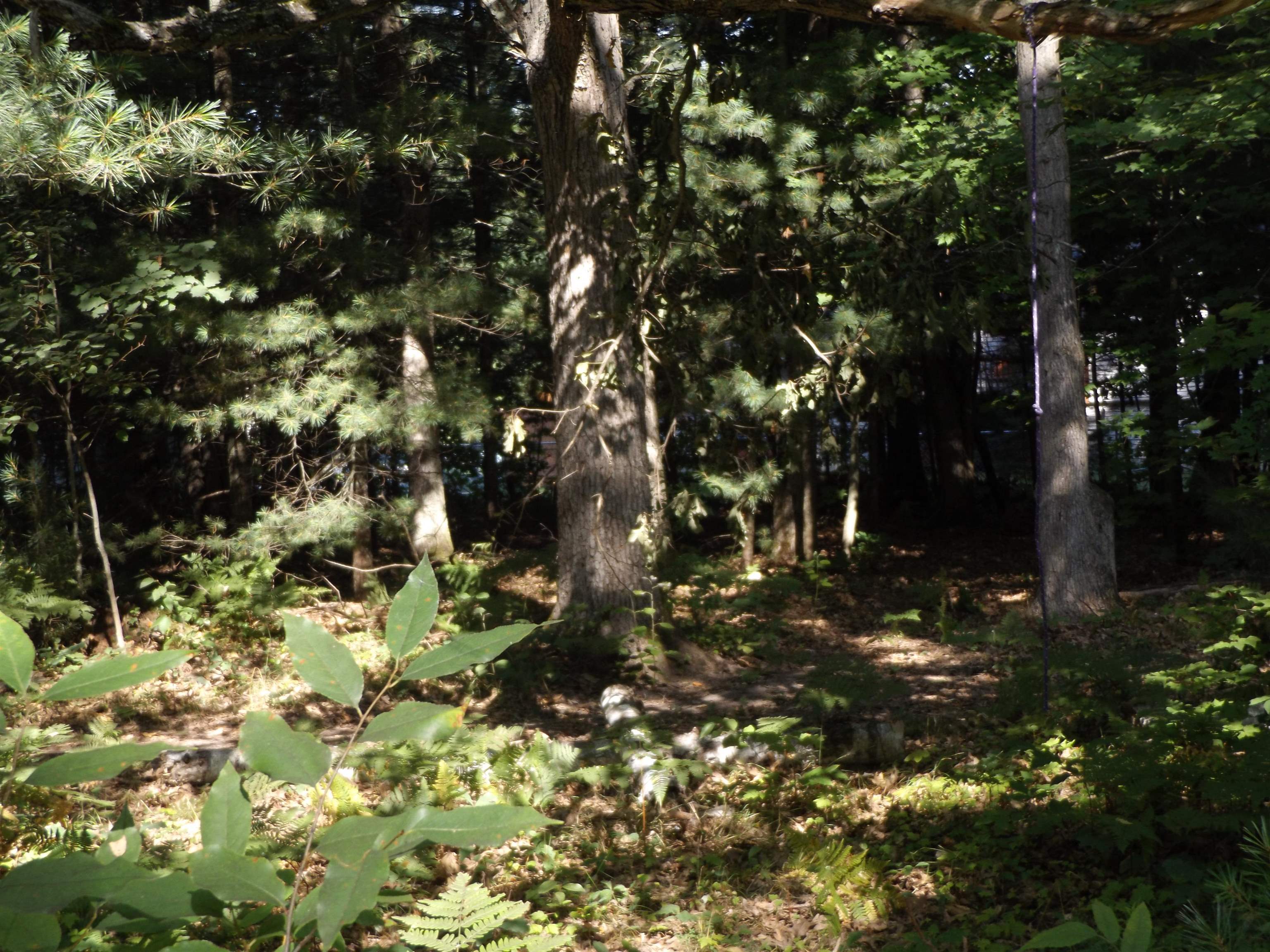 10087 Resort Interlochen, MI 49643 - Photo 8 of 8 1908387-7.JPG