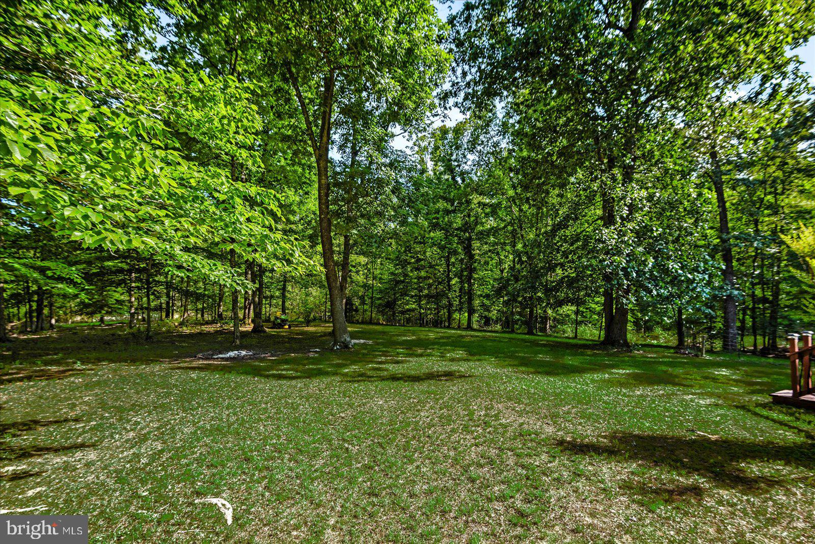 804 Buggy Lane Rochelle, VA 22738 - Photo 38 of 50 a view of a park with trees in the background