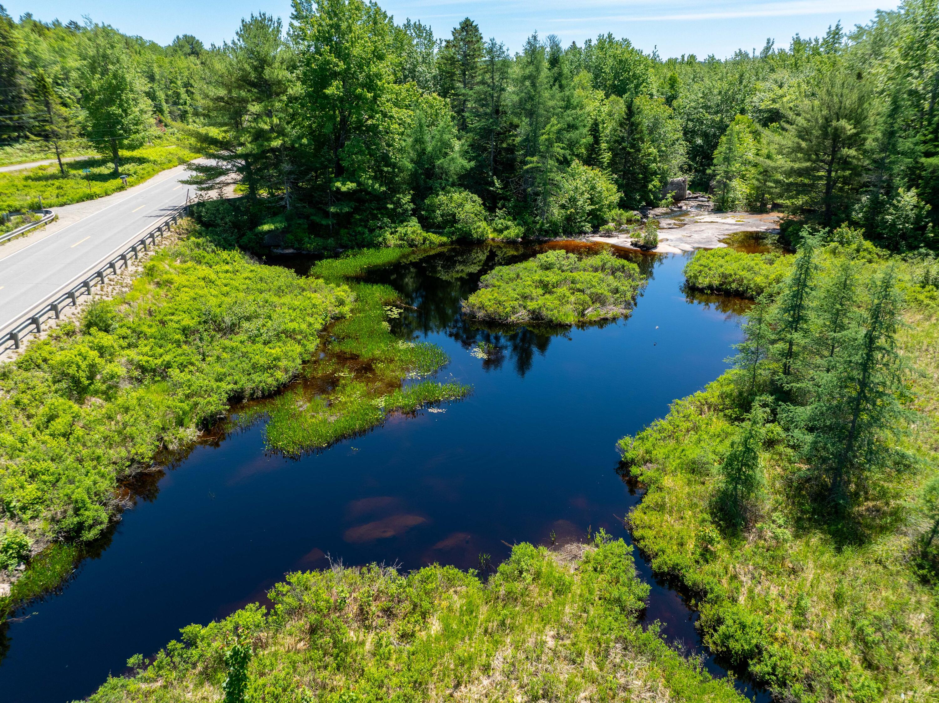 M4-l29 Northfield Road Machias, ME 04654 - Photo 21 of 23 42 Acre Lot Marshfield (20 of 32)