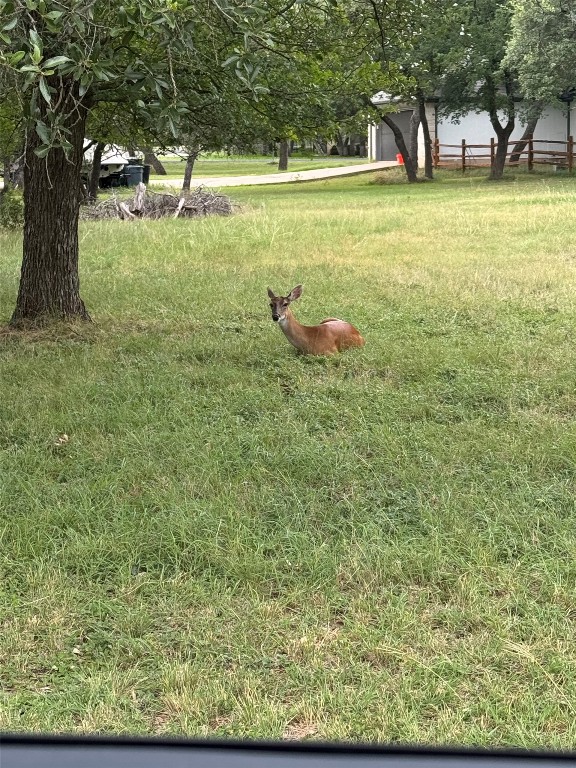 210 Buoy Circle Georgetown, TX 78633 - Photo 30 of 32 a view of a yard with an outdoor space