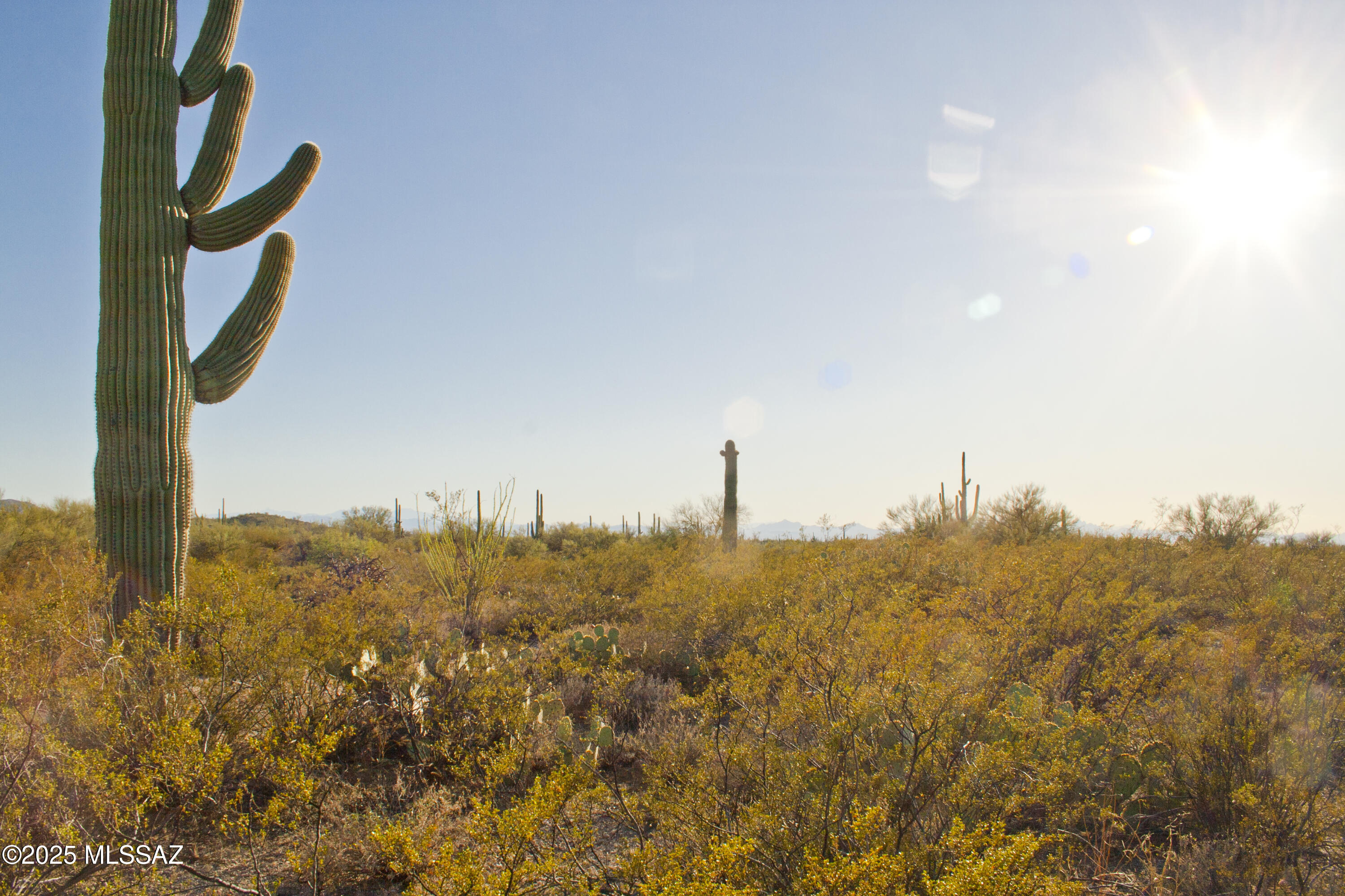 0 Silverian Road Marana, AZ 85658 - Photo 11 of 32