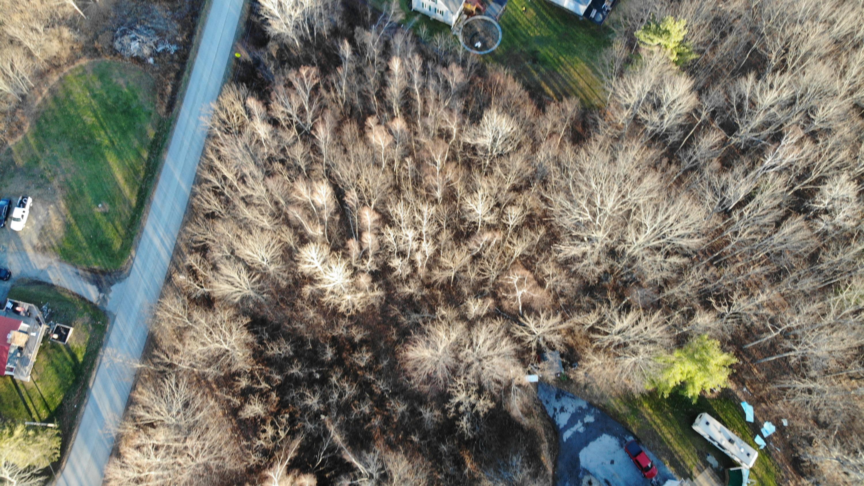 1 Luckys Landing Road Glenburn, ME 04401 - Photo 17 of 18 DJI_0164