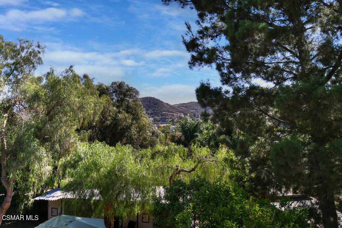 5342 Lewis Road Agoura Hills, CA 91301 - Photo 75 of 80 Views