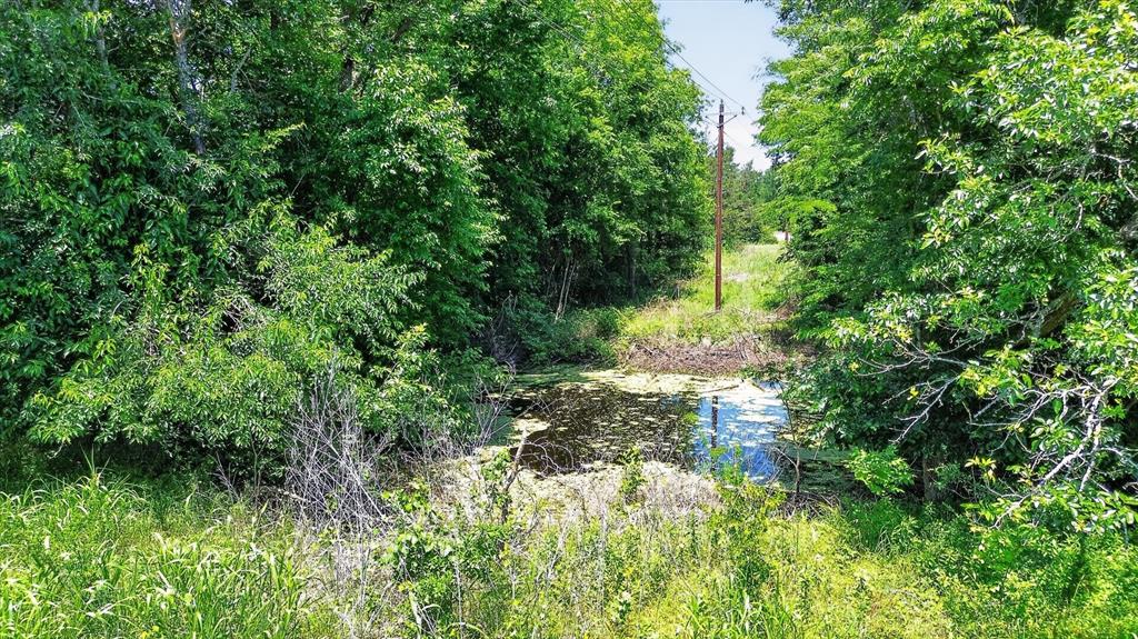 613 Main Street Quinlan, TX 75474 - Photo 7 of 16 Wooded lot featuring a natural pond and abundant foliage