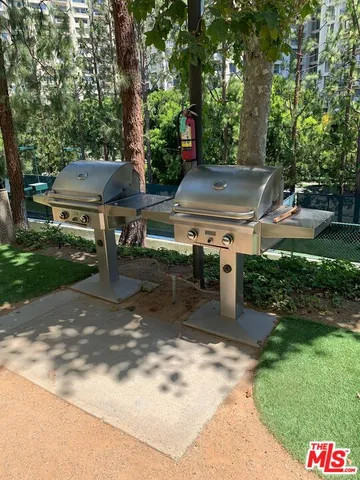 a view of a flower in a garden