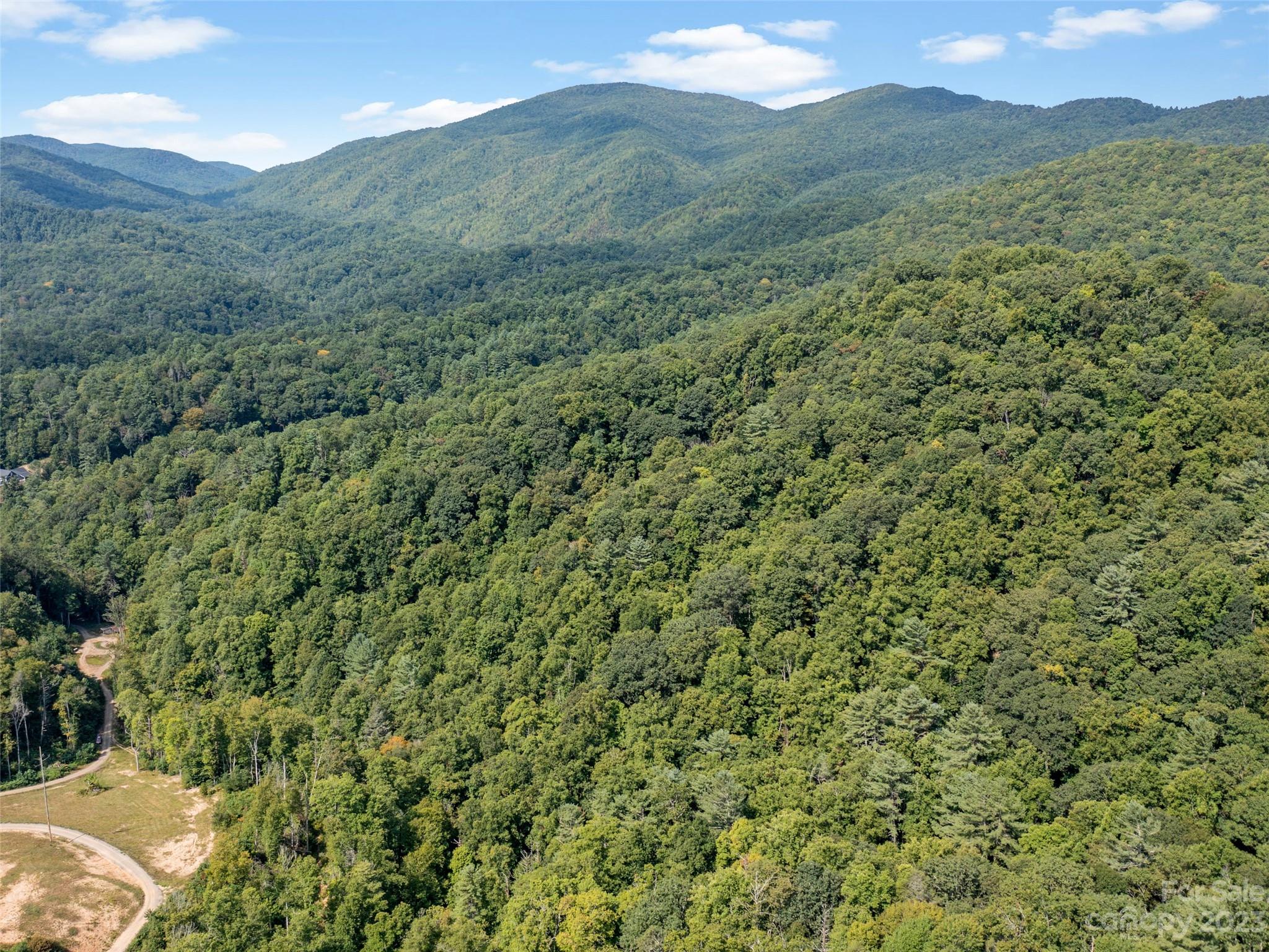 520 Howell Branch Road Green Mountain, NC 28740 - Photo 13 of 48 Gallery Image 13