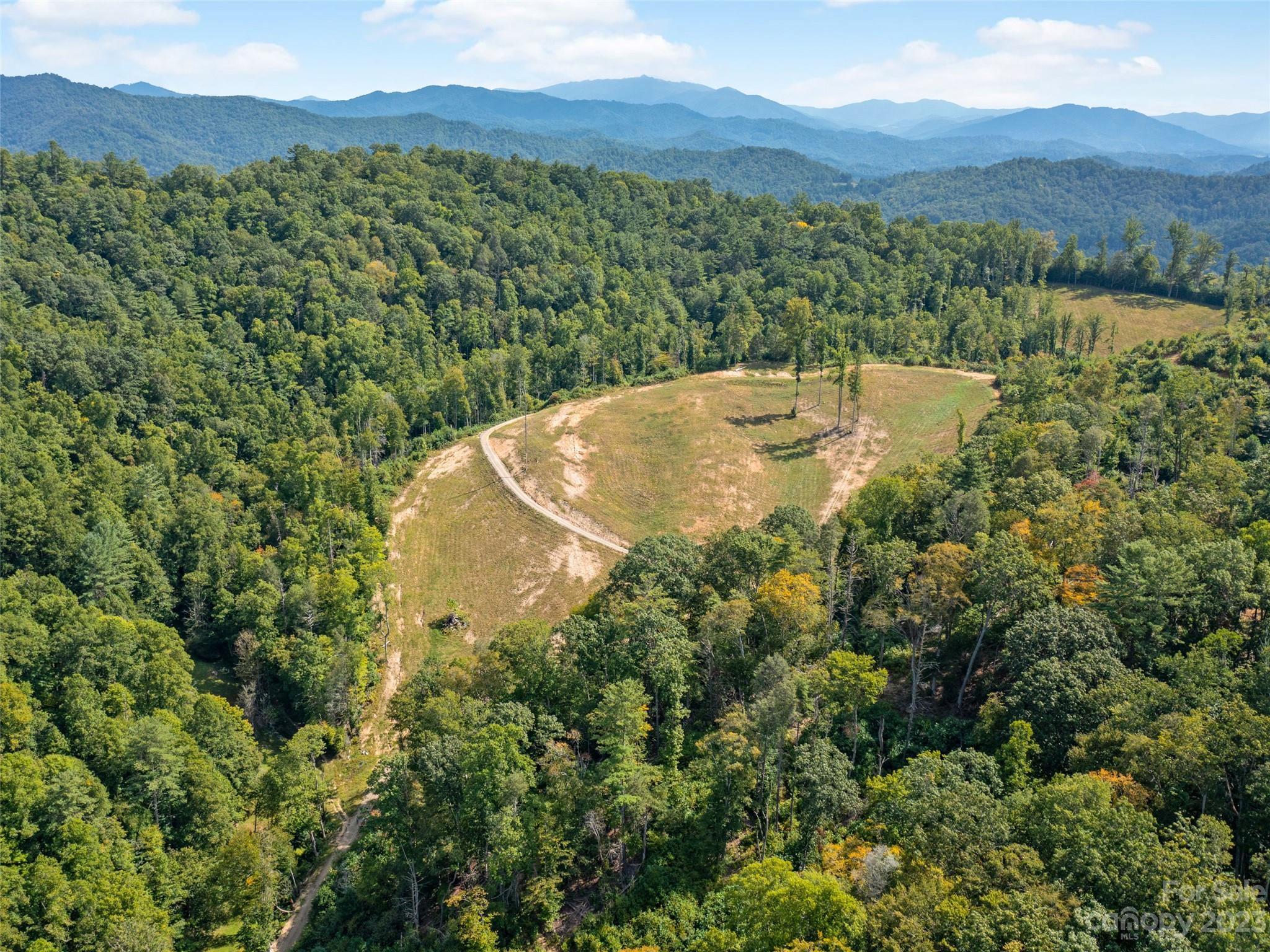 520 Howell Branch Road Green Mountain, NC 28740 - Photo 21 of 48 Gallery Image 21