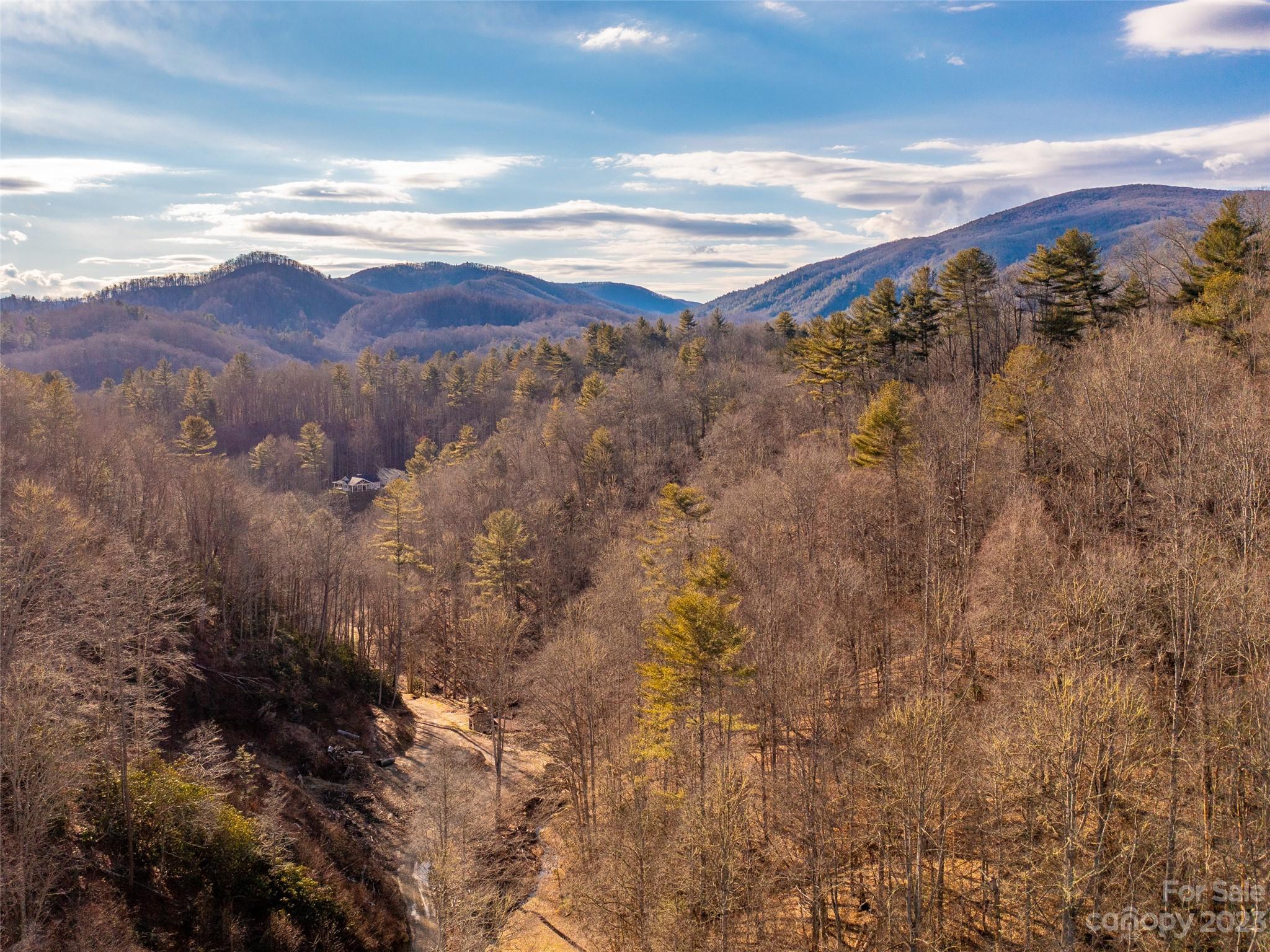 520 Howell Branch Road Green Mountain, NC 28740 - Photo 29 of 48 Gallery Image 29