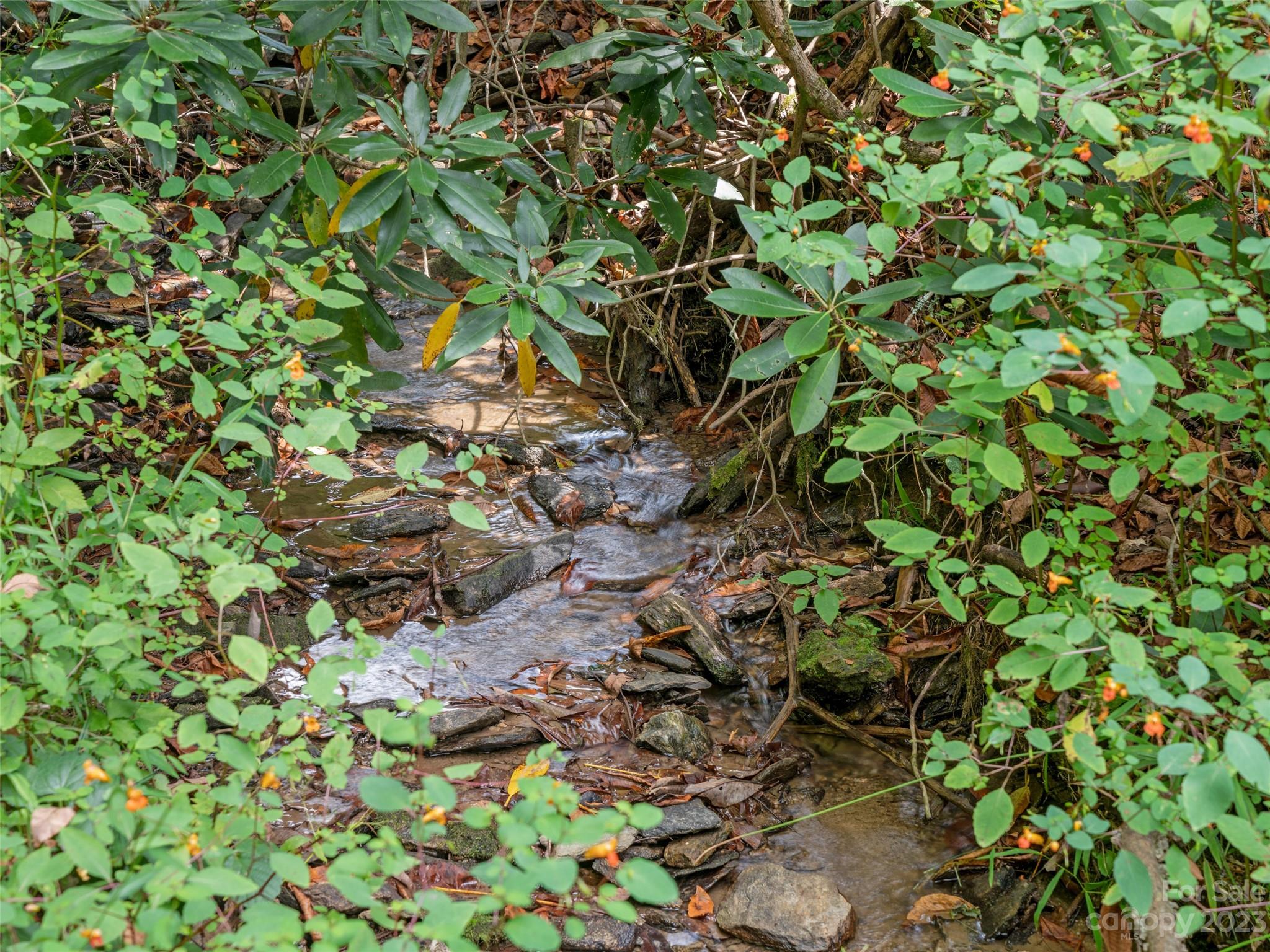 520 Howell Branch Road Green Mountain, NC 28740 - Photo 3 of 48 Gallery Image 3