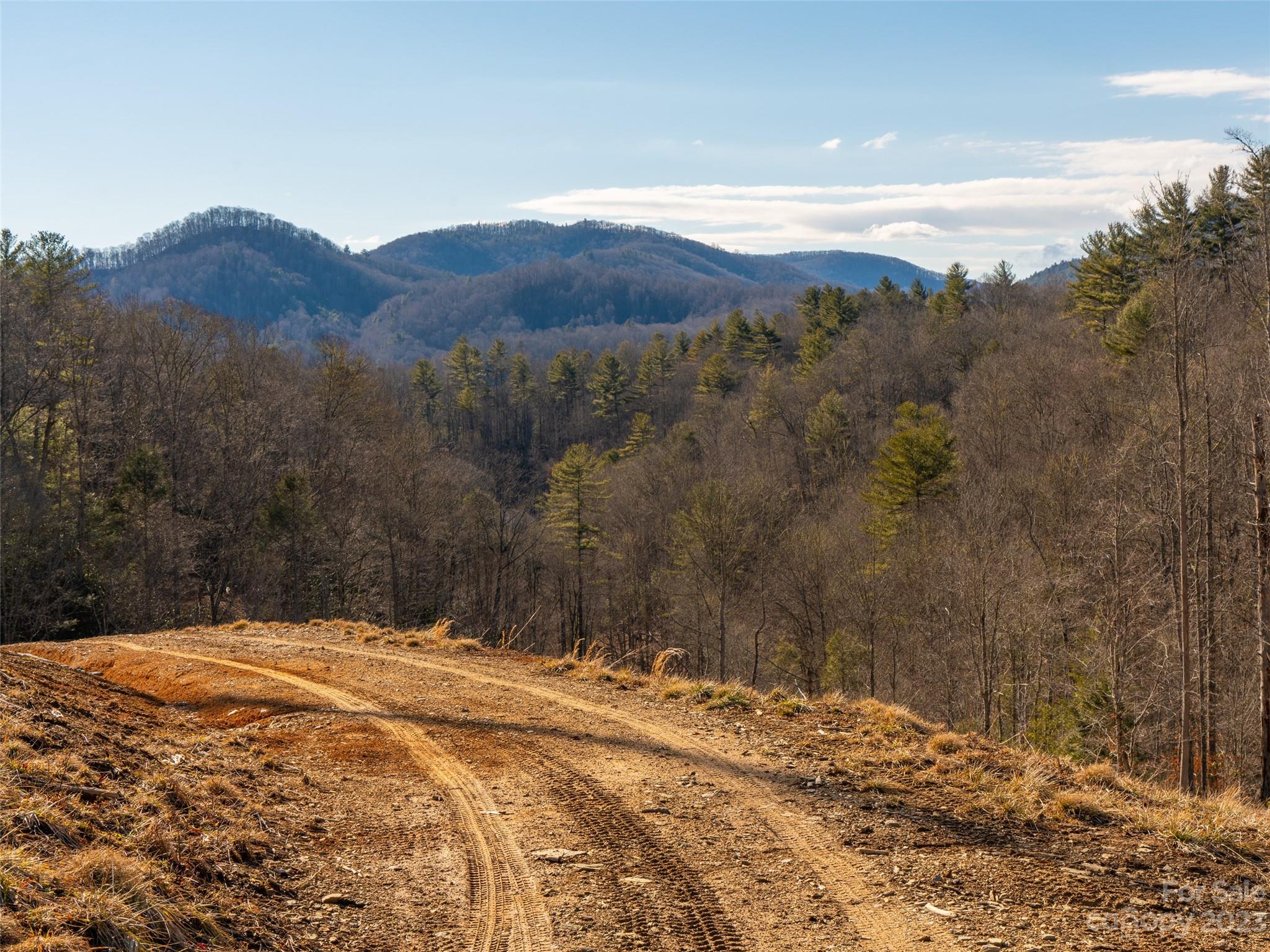 520 Howell Branch Road Green Mountain, NC 28740 - Photo 34 of 48 Gallery Image 34