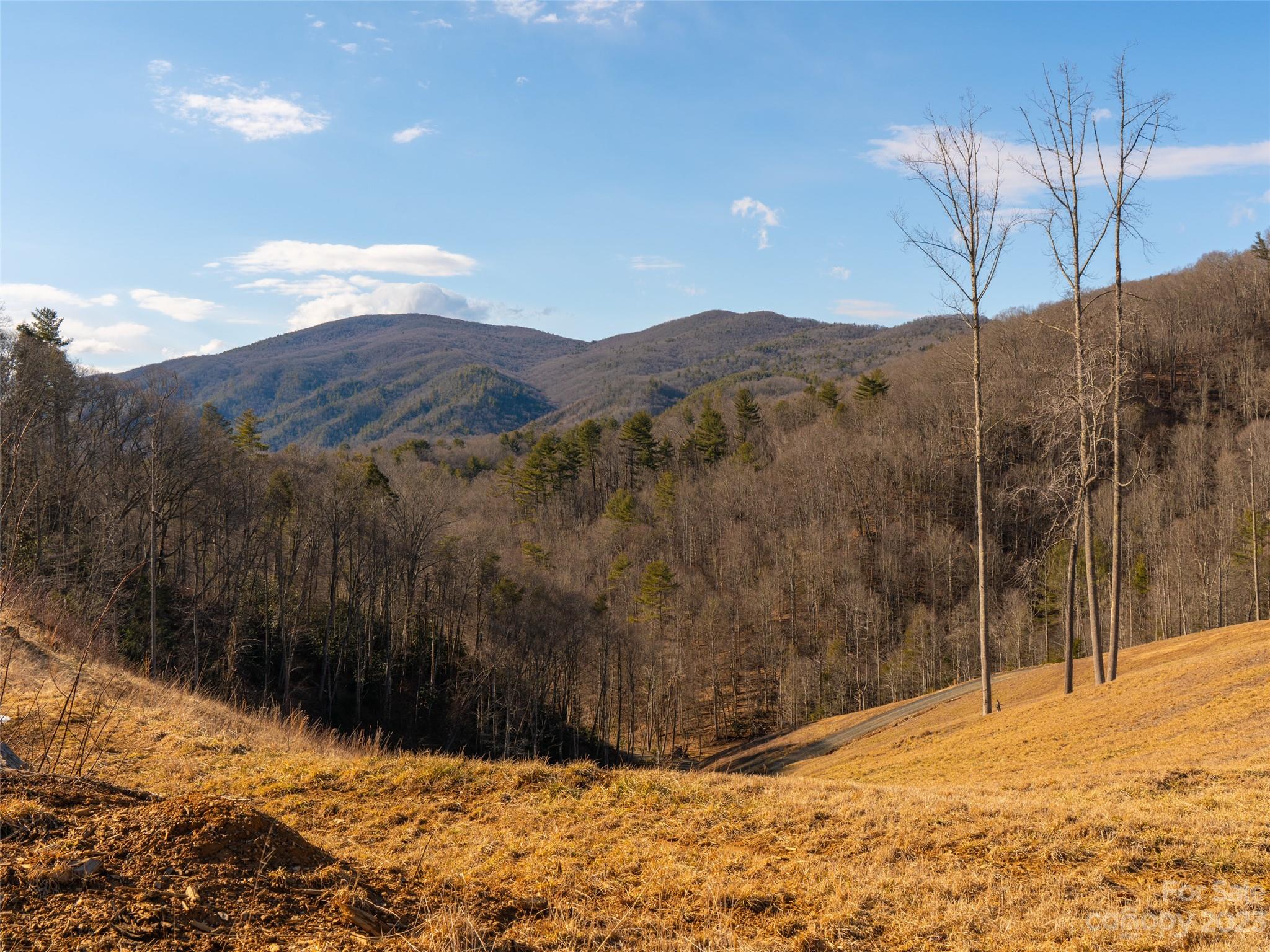 520 Howell Branch Road Green Mountain, NC 28740 - Photo 35 of 48 Gallery Image 35